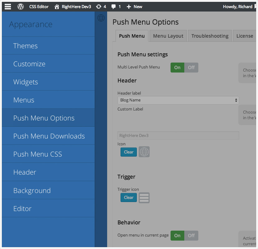 Mehrstufiges Push-Menü für WordPress - Darstellung - Drücken Sie die Menüoptionen