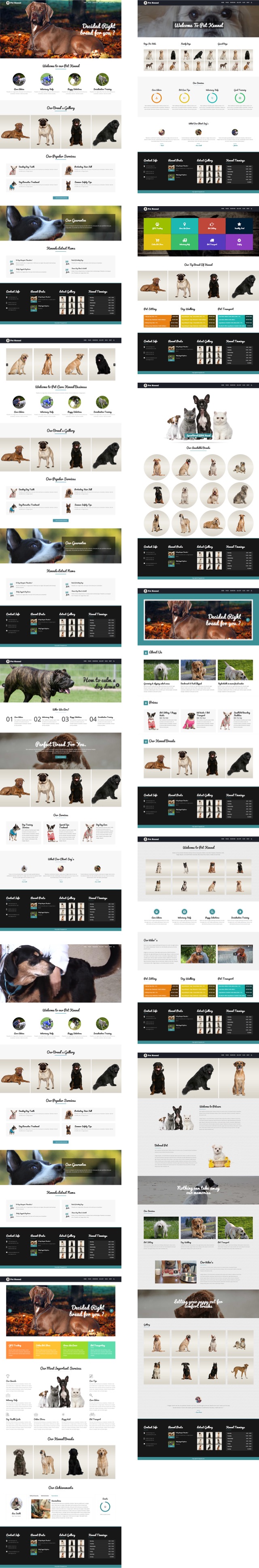 Petcare WordPress CMS Layout