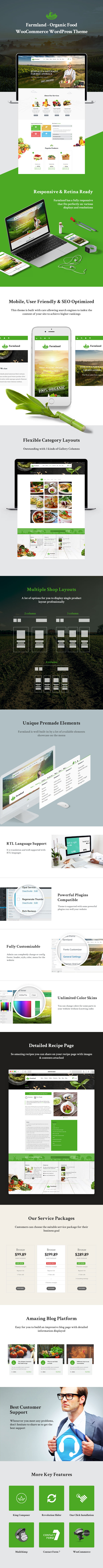 WordPress-Template