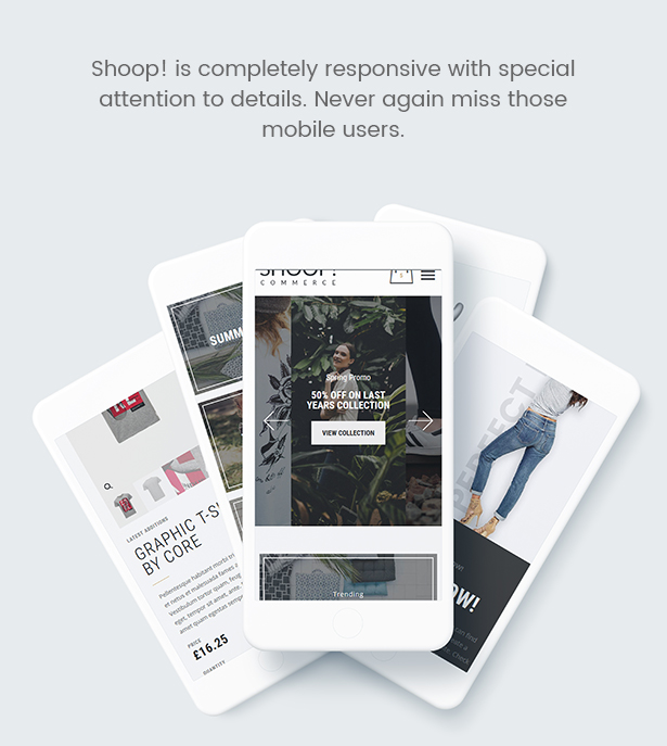 Shoop-WordPress-Vorlage