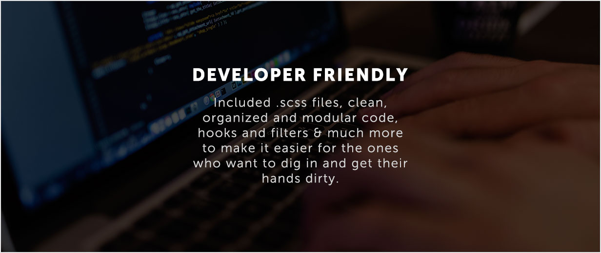 Entwicklerfreundlich, Scss-Dateien, Hooks und Filter
