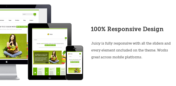 Juicy - Responsives WordPress-Mehrzweckthema - 2