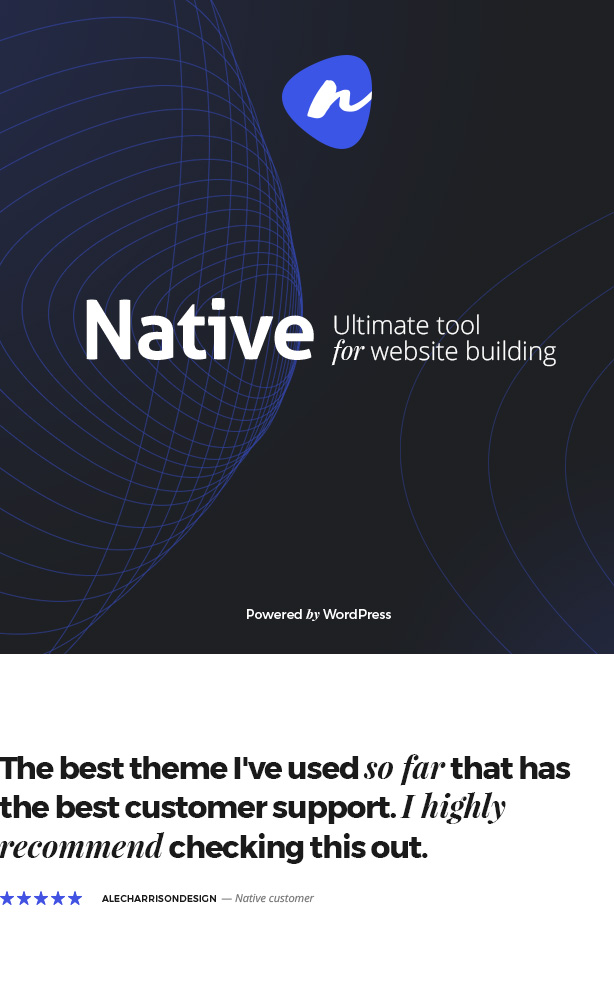 Native - Stilvolles kreatives Mehrzweck-WP-Thema - 6