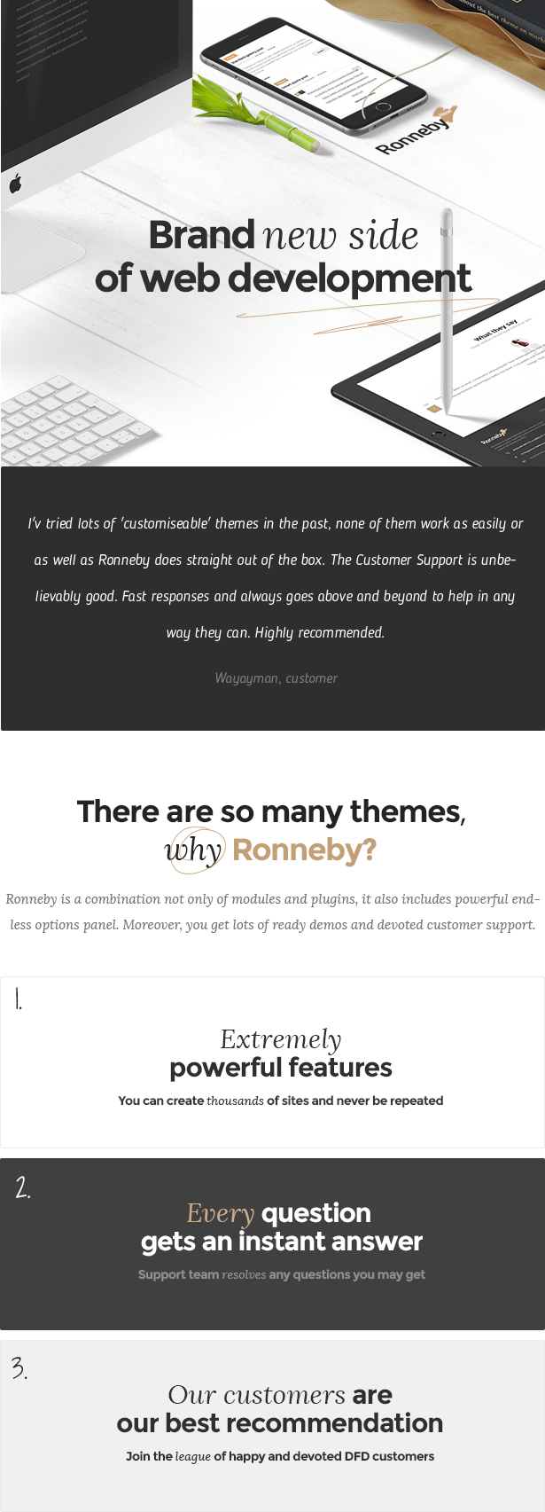 Ronneby - Hochleistungs-WordPress-Theme - 1