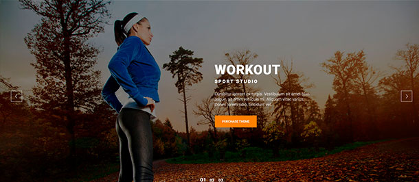 Absolute Fitness - Fitness Mehrzweck-WordPress-Theme - 12