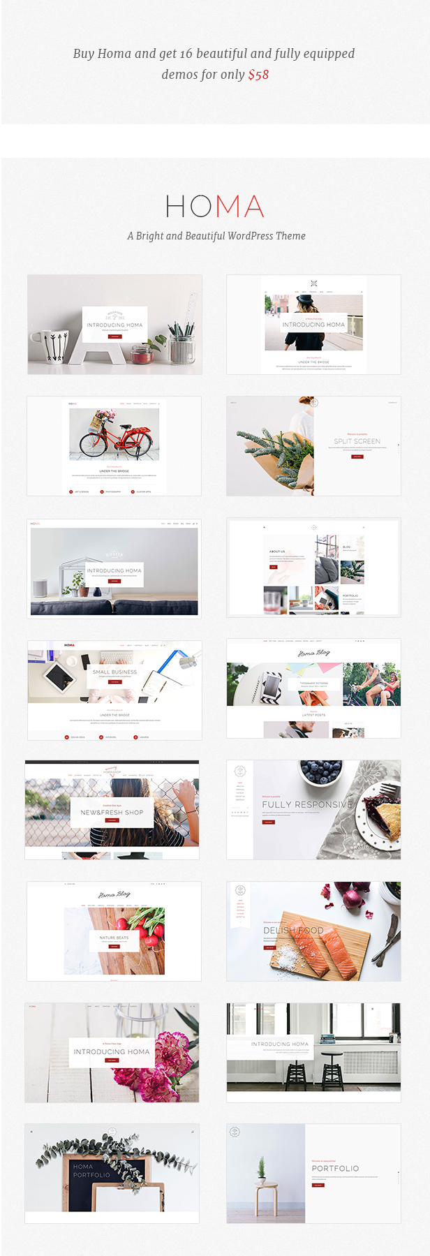 Homa - Elegantes WordPress-Theme - 1