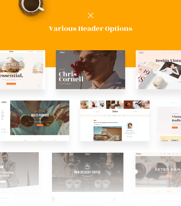 Vintage Retro Multipurpose Wp Theme - Kopfzeilenoptionen