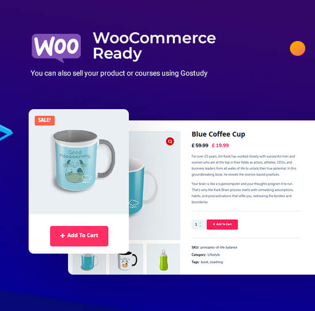 Woocommerce-Thema, E-Commerce-Thema, LMS WooCommerce-Thema, Shop