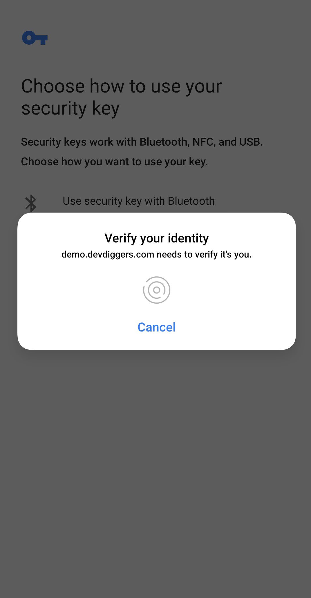 WooCommerce Biometric Login: Popup-Fenster mit biometrischen Details hinzufügen, Schritt 3