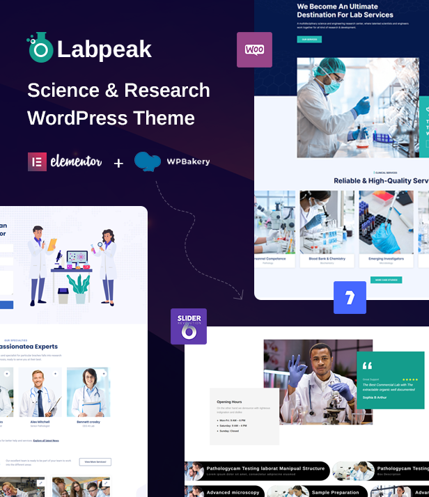 Labpeak WordPress-Theme